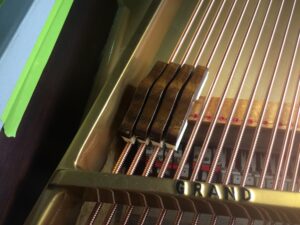 IMG_0441
